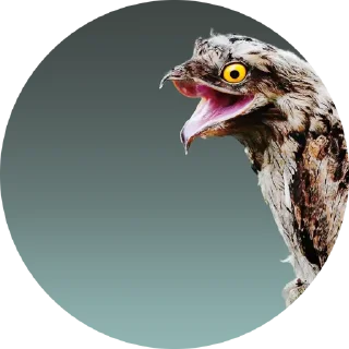 Sticker Козодой - 0