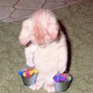 Стикер Kitty go - 6