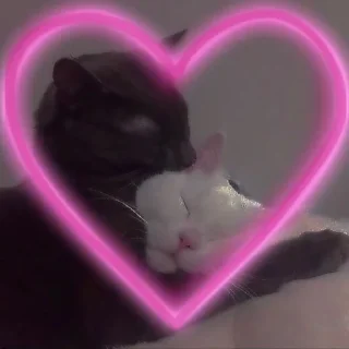 Стикер Kitty go - 2