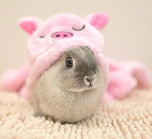 кролик игрушка розовый