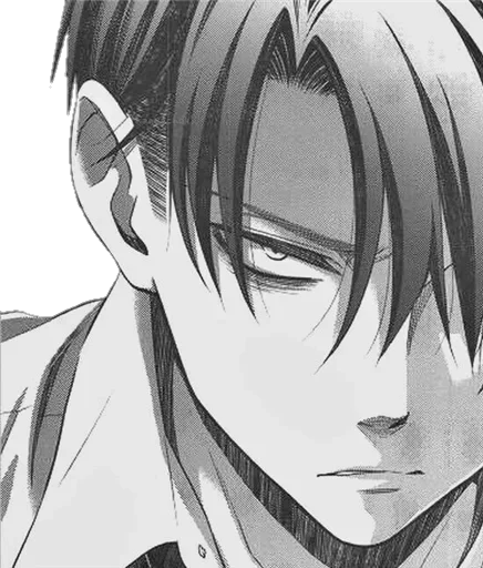 Sticker Levi Ackerman @SwallowZireael - 7