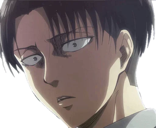 Sticker Levi Ackerman @SwallowZireael - 2