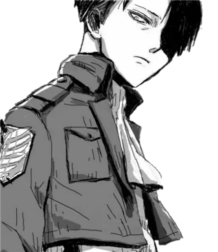 Sticker Levi Ackerman @SwallowZireael - 1