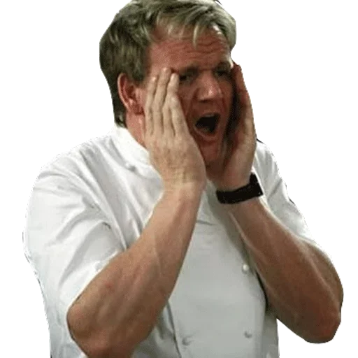 Sticker Gordon Ramsay - 6