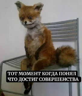 Стикер Создать стикеры|@EmojiRuBot - 1