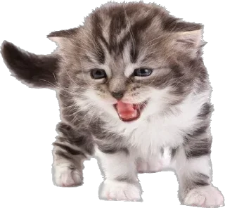 Стикер @sticksbb 🩷 <- канал со стиками - 3