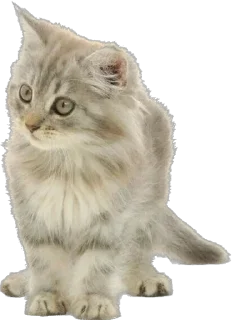 Стикер @sticksbb 🩷 <- канал со стиками - 10