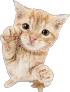 Стикер @sticksbb 🩷 <- канал со стиками - 0