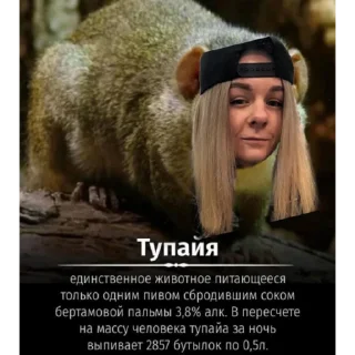 Sticker @KAUFHOUSE - 2