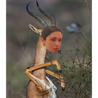 Sticker @KAUFHOUSE - 8