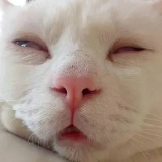 Стикер Больше стиков тут: @stikeryk - 2