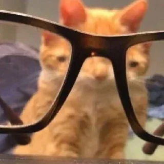 Стикер Больше стиков тут: @stikeryk - 3