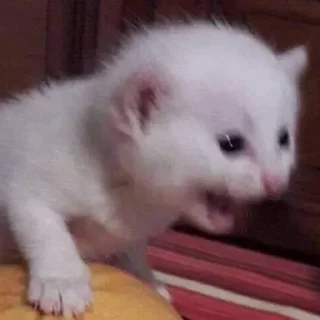 Стикер Больше стиков тут: @stikeryk - 10