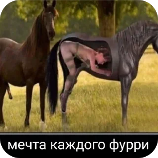 Стикер @Null_Forum - 2