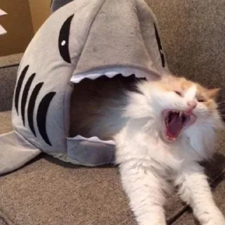 Sticker Квадробика и точка... @MoiStikiBot - 3