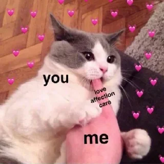 Sticker Стики 2618 из @Anonymnyi_chat_bot - 7