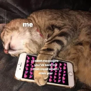 Sticker Стики 2618 из @Anonymnyi_chat_bot - 6