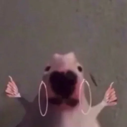 Стикер KFTEhBPHTKrFTGQJSQ_by_stickers_stealer_bot - 1