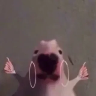 Стикер Больше стикеров 👉🏻 @stickertg4 - 7