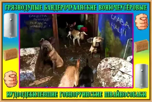 Sticker хохлы - 10