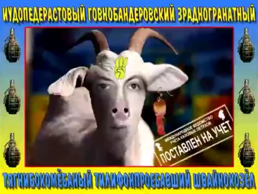 Sticker хохлы - 4