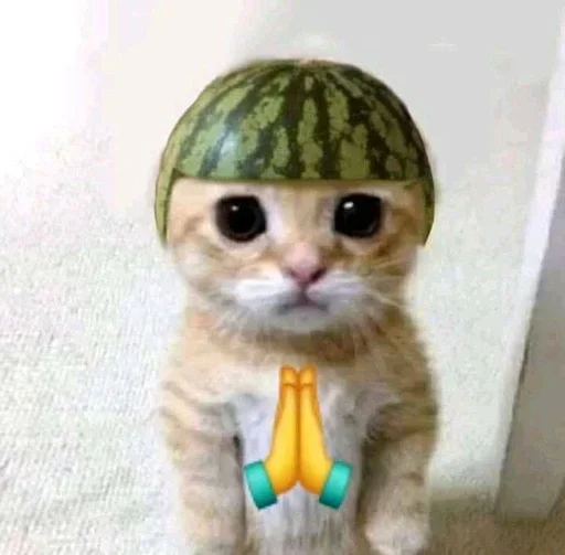 Sticker KIBOoZTLmo_by_Sticker363728bot - 1