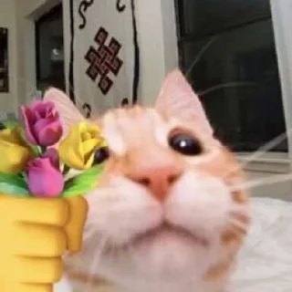 Sticker @stickeri_tg 💋<-- стикеры тут - 11