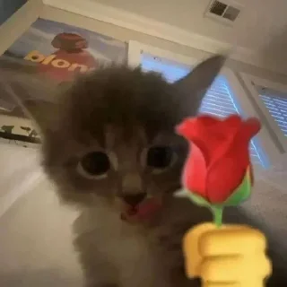 Sticker @stickeri_tg 💋<-- стикеры тут - 9