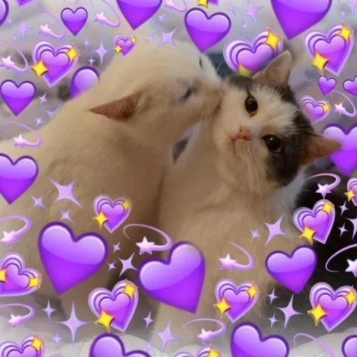 Стикер KIBfvZrNjjUhUm_by_stickers_stealer_bot - 1