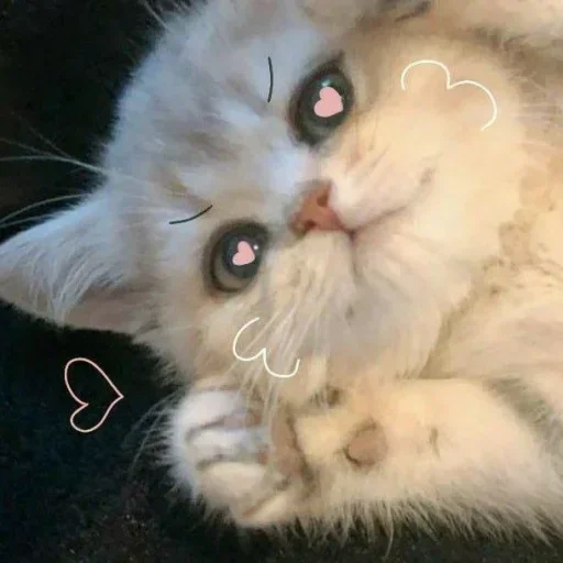 Стикер KIBfvZrNjjUhUm_by_stickers_stealer_bot - 1