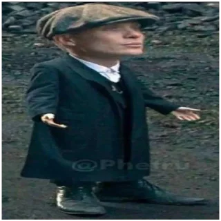 Sticker Киски - 7