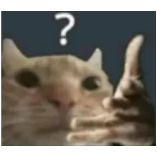 Sticker Киски - 5