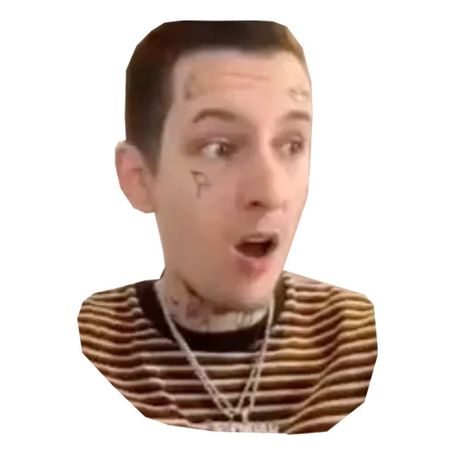 человеческое лицо подбородок лоб