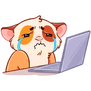 Sticker Больше стиков тут: @stikery4 - 2