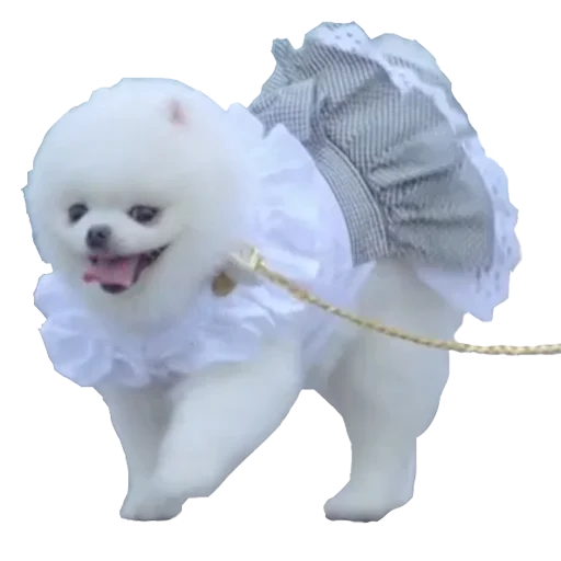 Стикер KKbunny_DoDoSolSolLaLaSol - 1