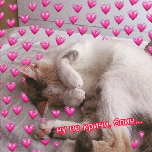 fur pink small to medium-sized cats