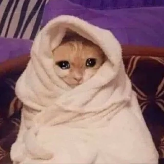 Sticker كرمله - 7