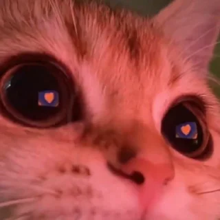 Sticker كرمله - 1