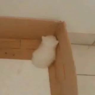 Sticker كرمله - 9