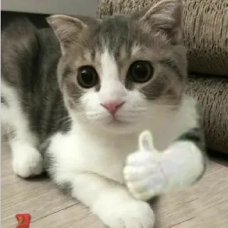 Sticker كرمله - 3