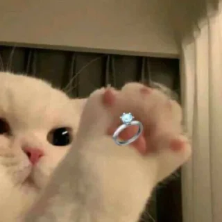 Sticker كرمله - 0