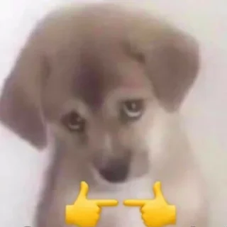 Sticker كرمله - 10