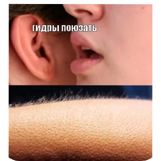 Стикер КЛУБ ЛЮБИТЕЛЕЙ СМЕНЫ - 2