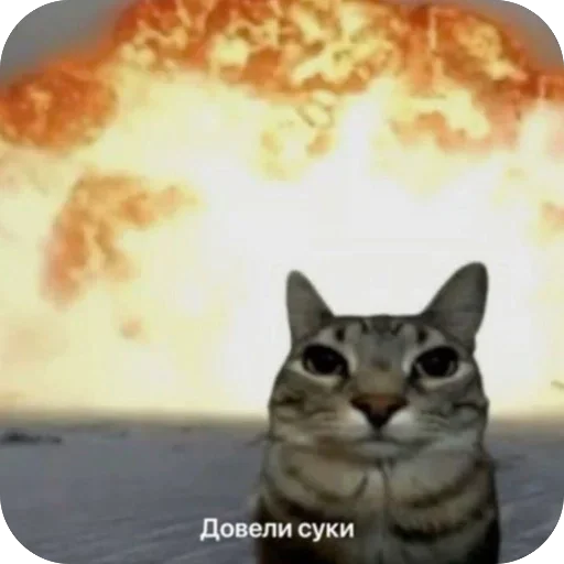 Стикер KMBMemes - 1