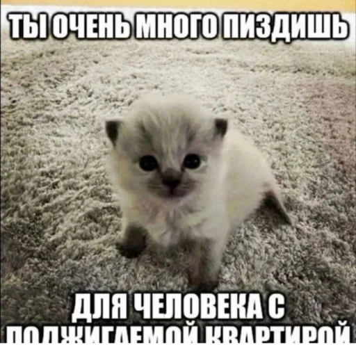 Стикер KO111APNKN - 1