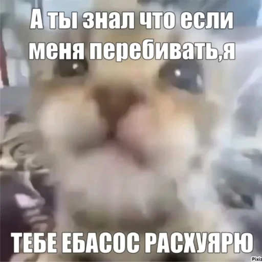 Стикер KO111APNKN - 1