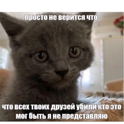 Sticker KO111APNKN - 1