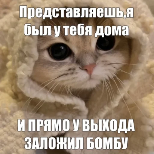 Sticker KO111APNKN - 1