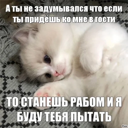 Стикер KO111APNKN - 1