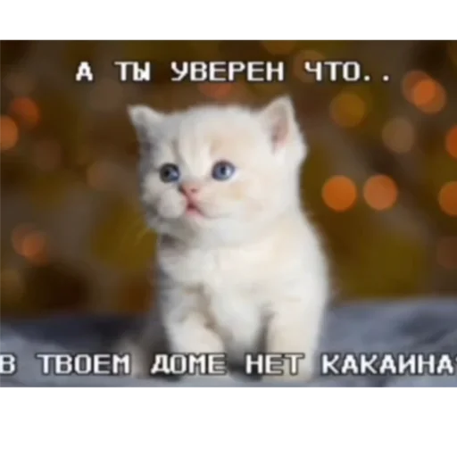 Стикер KO111APNKN - 1